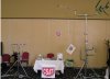 expozícia CSAT  ( Senec  24.6. 2013 )